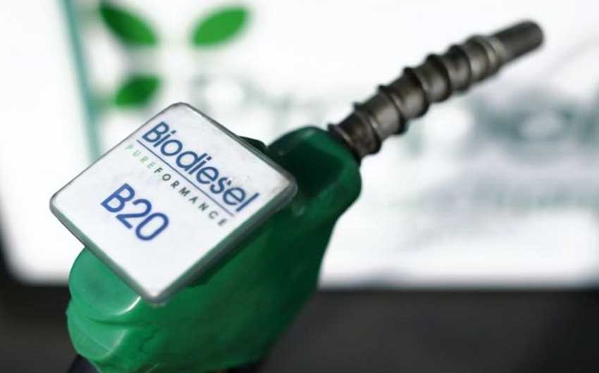 Biodiesel sebagai Sumber Baru Pertumbuhan Ekonomi